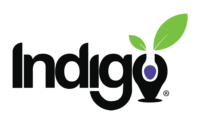 Indigo Education Company